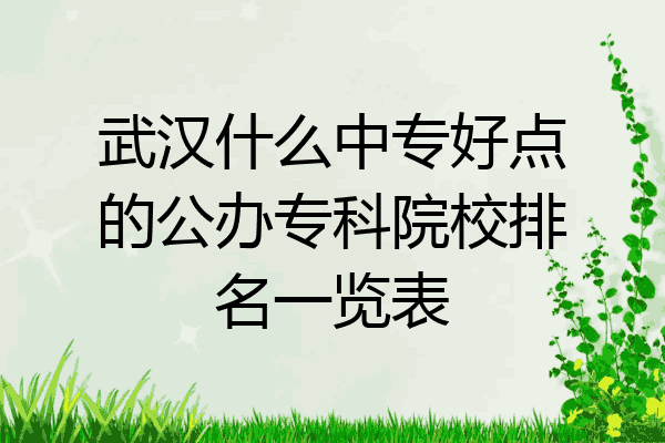 武汉什么中专好点的公办专科院校排名一览表