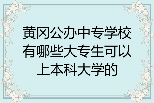 黄冈公办中专学校有哪些大专生可以上本科大学的