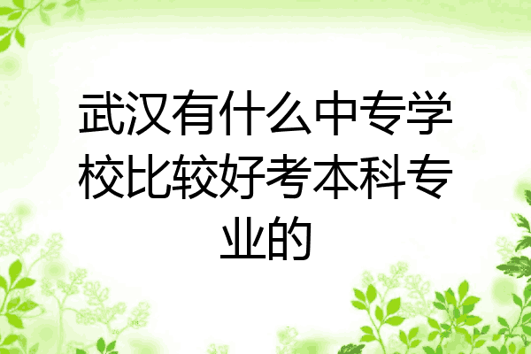 武汉有什么中专学校比较好考本科专业的