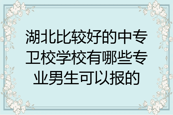 湖北比较好的中专卫校学校有哪些专业男生可以报的