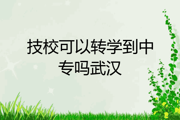 技校可以转学到中专吗武汉