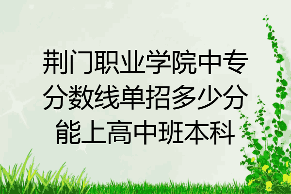 荆门职业学院中专分数线单招多少分能上高中班本科