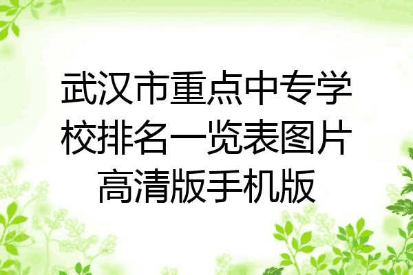 武汉市重点中专学校排名一览表图片高清版手机版