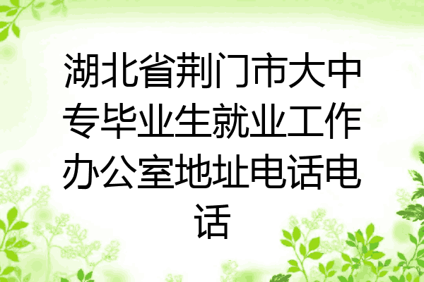 湖北省荆门市大中专毕业生就业工作办公室地址电话电话