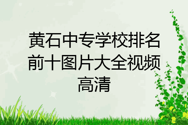 黄石中专学校排名前十图片大全视频高清