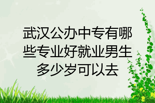 武汉公办中专有哪些专业好就业男生多少岁可以去