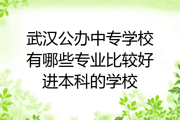 武汉公办中专学校有哪些专业比较好进本科的学校