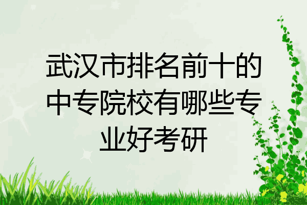 武汉市排名前十的中专院校有哪些专业好考研