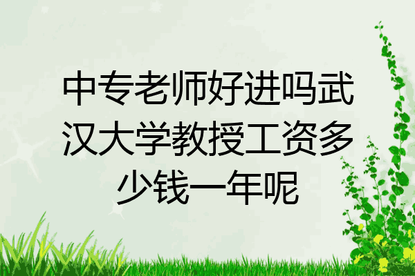 中专老师好进吗武汉大学教授工资多少钱一年呢