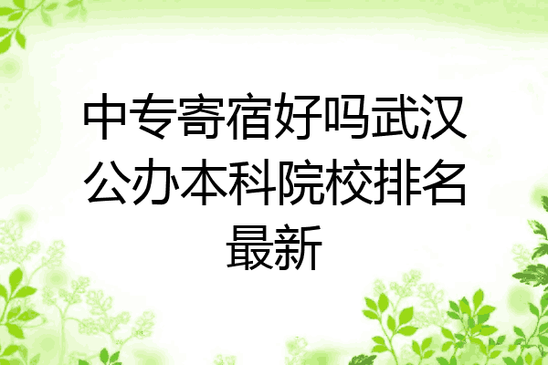 中专寄宿好吗武汉公办本科院校排名最新