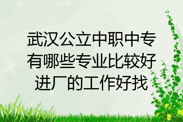 武汉公立中职中专有哪些专业比较好进厂的工作好找