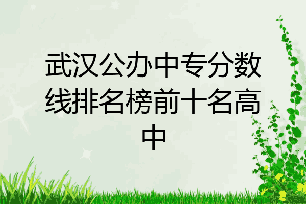 武汉公办中专分数线排名榜前十名高中