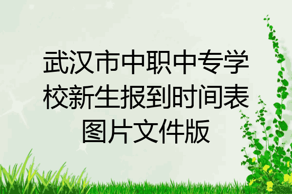 武汉市中职中专学校新生报到时间表图片文件版