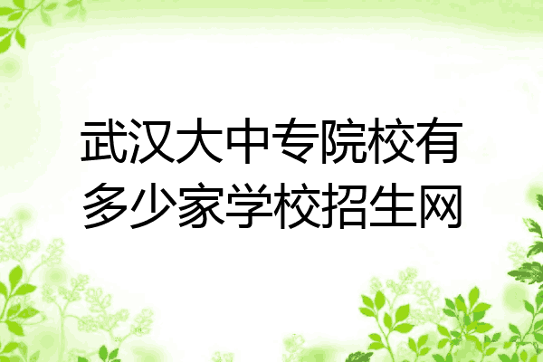 武汉大中专院校有多少家学校招生网