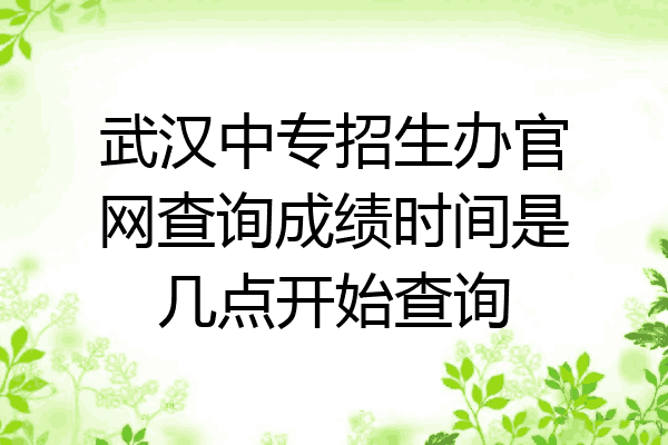 武汉中专招生办官网查询成绩时间是几点开始查询