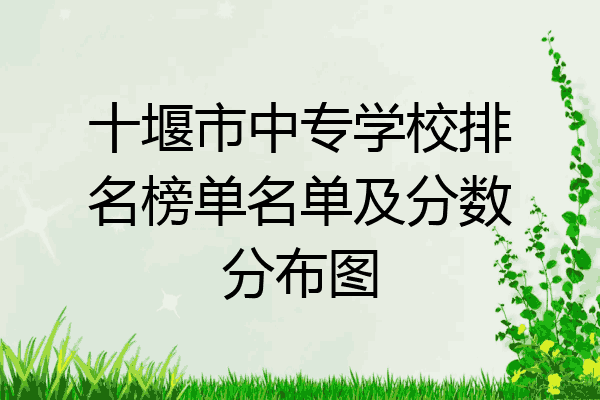 十堰市中专学校排名榜单名单及分数分布图