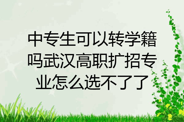 中专生可以转学籍吗武汉高职扩招专业怎么选不了了