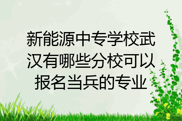 新能源中专学校武汉有哪些分校可以报名当兵的专业