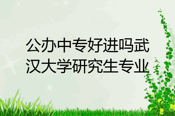 公办中专好进吗武汉大学研究生专业