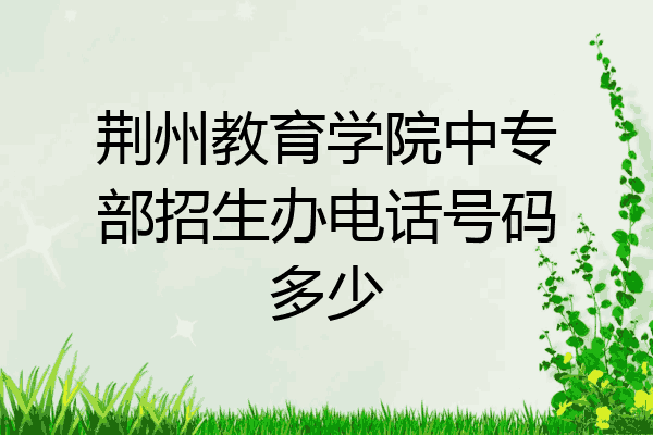 荆州教育学院中专部招生办电话号码多少