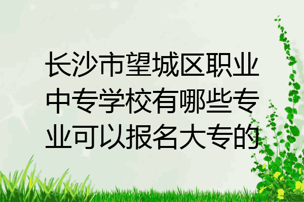 长沙市望城区职业中专学校有哪些专业可以报名大专的