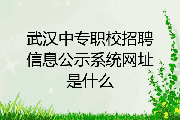武汉中专职校招聘信息公示系统网址是什么