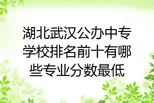 湖北武汉公办中专学校排名前十有哪些专业分数最低