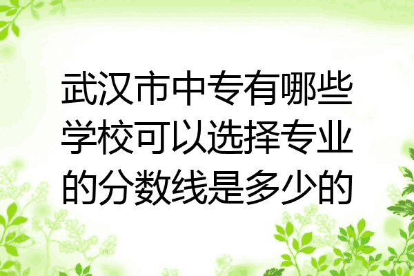 武汉市中专有哪些学校可以选择专业的分数线是多少的