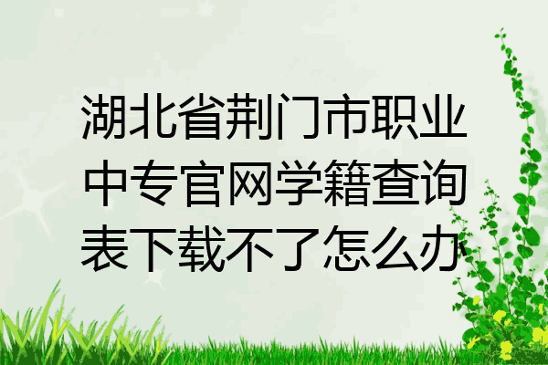 湖北省荆门市职业中专官网学籍查询表下载不了怎么办
