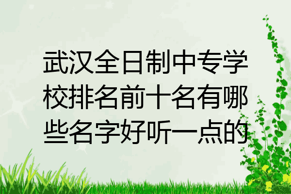 武汉全日制中专学校排名前十名有哪些名字好听一点的