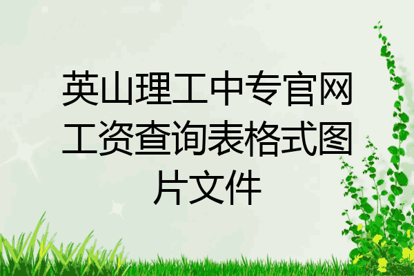 英山理工中专官网工资查询表格式图片文件