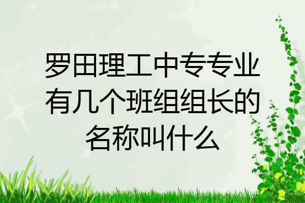 罗田理工中专专业有几个班组组长的名称叫什么