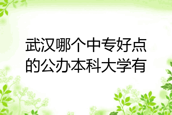 武汉哪个中专好点的公办本科大学有