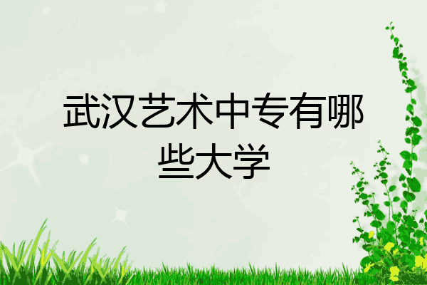 武汉艺术中专有哪些大学