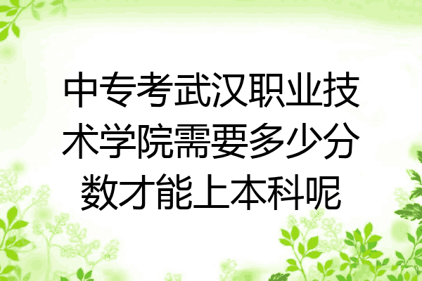 中专考武汉职业技术学院需要多少分数才能上本科呢