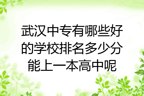 武汉中专有哪些好的学校排名多少分能上一本高中呢