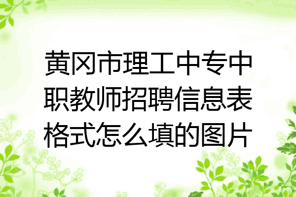 黄冈市理工中专中职教师招聘信息表格式怎么填的图片