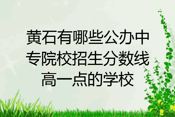 黄石有哪些公办中专院校招生分数线高一点的学校