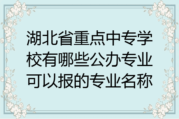 湖北省重点中专学校有哪些公办专业可以报的专业名称