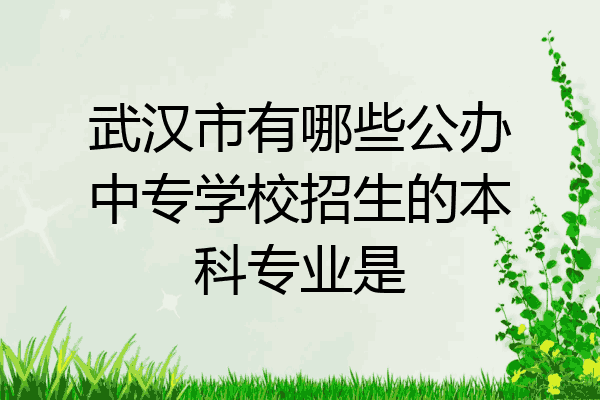 武汉市有哪些公办中专学校招生的本科专业是