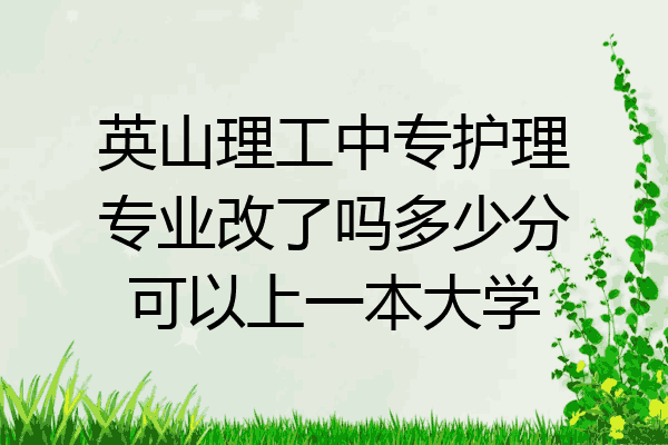 英山理工中专护理专业改了吗多少分可以上一本大学