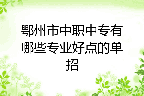 鄂州市中职中专有哪些专业好点的单招
