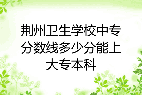 荆州卫生学校中专分数线多少分能上大专本科