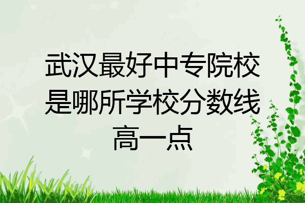 武汉最好中专院校是哪所学校分数线高一点
