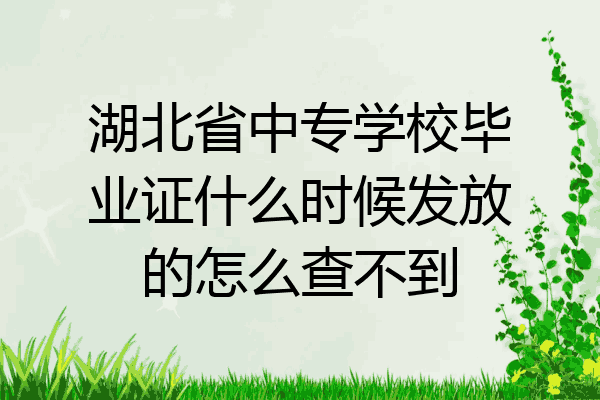 湖北省中专学校毕业证什么时候发放的怎么查不到