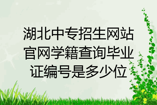 湖北中专招生网站官网学籍查询毕业证编号是多少位