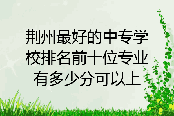 荆州最好的中专学校排名前十位专业有多少分可以上