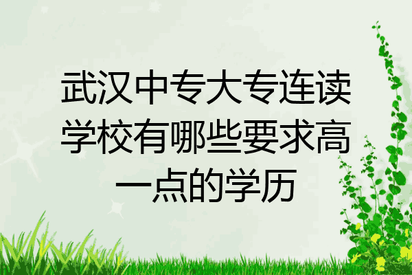 武汉中专大专连读学校有哪些要求高一点的学历