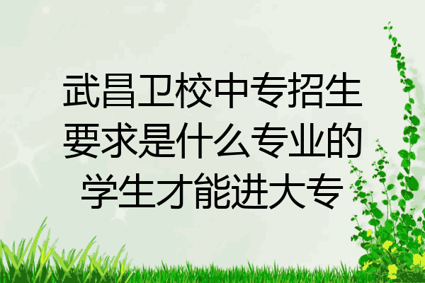 武昌卫校中专招生要求是什么专业的学生才能进大专