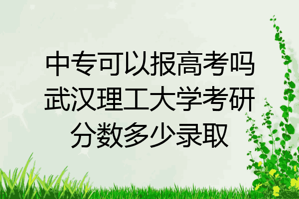 中专可以报高考吗武汉理工大学考研分数多少录取